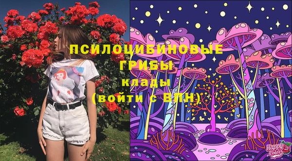 2c-b Алексин