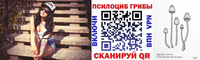 omg рабочий сайт  Павловский Посад  Галлюциногенные грибы мухоморы 