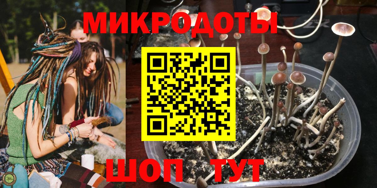 Галлюциногенные грибы Cubensis  Вход с VPN  Псилоцибиновые грибы Cubensis  Павловский Посад 